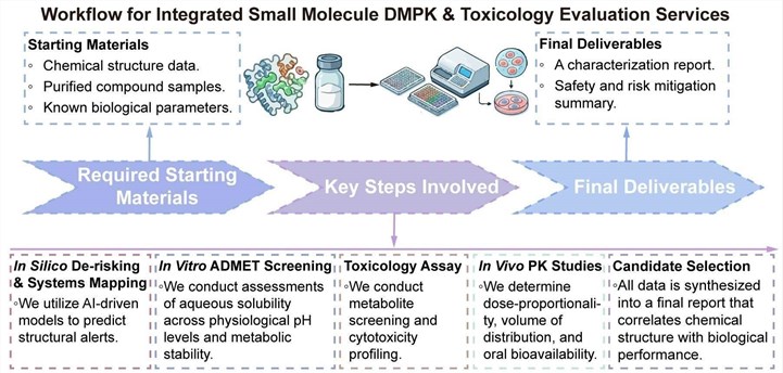 A simple procedure for integrated small molecule DMPK and toxicology evaluation services. (Creative Biolabs Original)